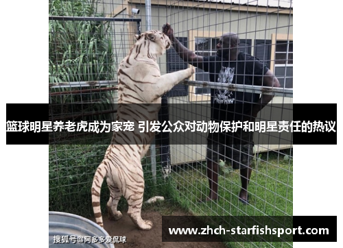 篮球明星养老虎成为家宠 引发公众对动物保护和明星责任的热议
