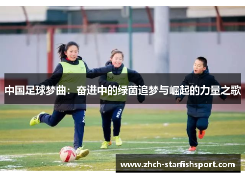 中国足球梦曲：奋进中的绿茵追梦与崛起的力量之歌